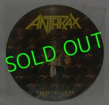 ANTHRAX/ Among The Living(Limited Picture Disc Edition) [LP] 