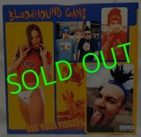 BLOODHOUND GANG/ Use Your Fingers [LP]