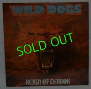 画像1: WILD DOGS/ Reign of Terror [LP]