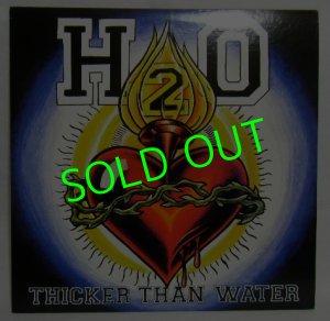 画像1: H2O/ Thicker Than Water[LP]