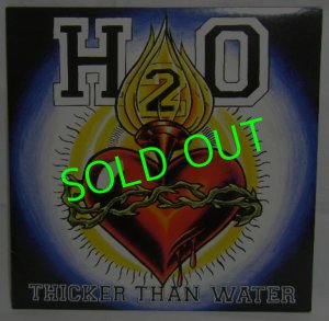 画像1: H2O/ Thicker Than Water[LP]