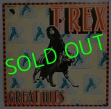 T-REX/ Great Hits[LP]