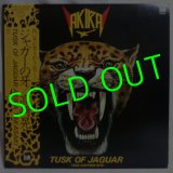 高崎晃/ Tusk Of Jaguar[LP]