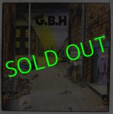 CHARGED G.B.H/ City Baby Attacked By Rats[LP]