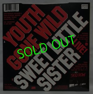 画像3: SKID ROW/ Youth Gone Wild Special Collectors’ Edition Box Set[7’’]