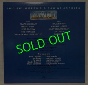 画像2: DiANNO/ Two Swimmers & A Bag Of Jockies[LP]