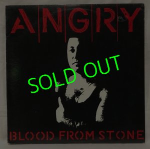 画像1: ANGRY/ Blood From Stone[LP]
