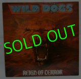 画像: WILD DOGS/ Reign of Terror [LP]