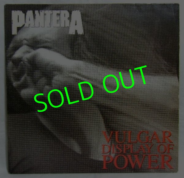 画像1: PANTERA/ Valgar Display Of Power[LP]
