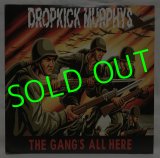 画像: DROPKICK MURPHYS/ The Gang's All Here[LP]