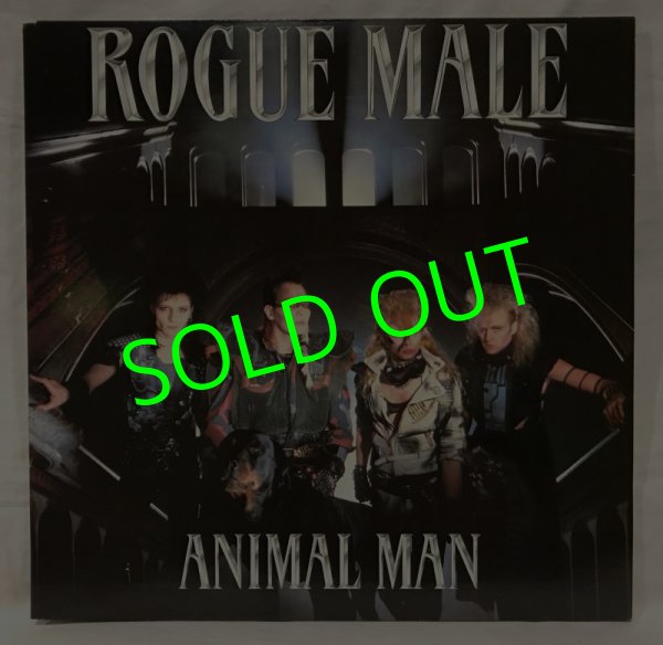 画像1: ROGUE MALE/ Animal Man[LP]