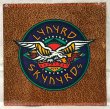 画像1: LYNYRD SKYNYRD/ Greatest Hits[LP]